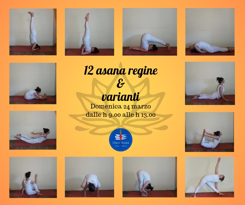 12 ASANA REGINE & VARIANTI